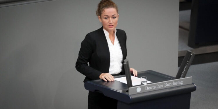 Nastić: Neiskrena briga AfD za Srbe