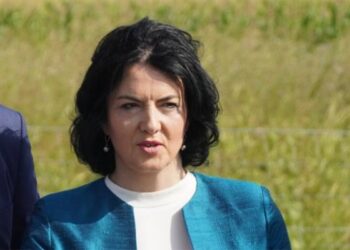 Privedena bivša gradonačelnica Niša Dragana Sotirovski – evo šta joj se stavlja na teret