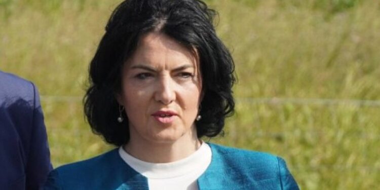 Privedena bivša gradonačelnica Niša Dragana Sotirovski – evo šta joj se stavlja na teret