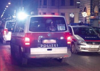 Austrijanka posle svađe izbola Srbina kuhinjskim nožem