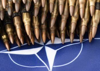 “Ukrajina u NATO-u je najbolja bezbednosna garancija”