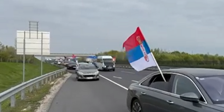 Srbi iz Beča pružili podršku državi i predsedniku Srbije