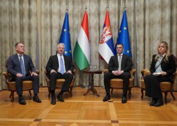 Milićević: Srbija pokazala odlučnost da jača veze matice sa Srbima van države