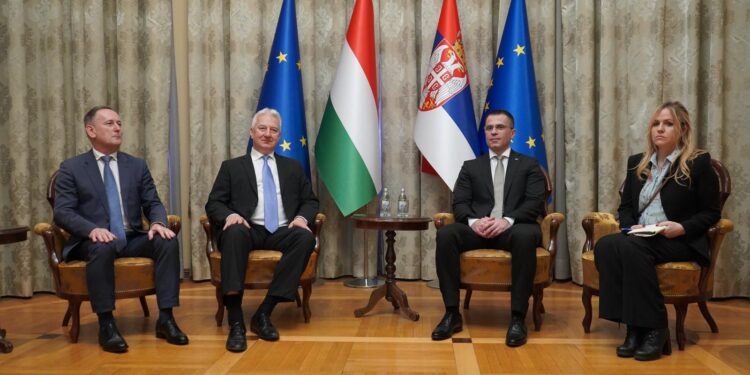 Milićević: Srbija pokazala odlučnost da jača veze matice sa Srbima van države