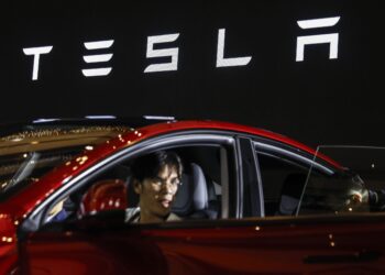 Tesla tone u Evropi: Prodaja pala peti mesec zaredom