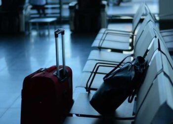 Za meso u koferu i krivična prijava: Šta putnici mogu da unesu u zemlje EU