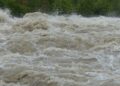 Poplave odnele 24 života u Teksasu (VIDEO)