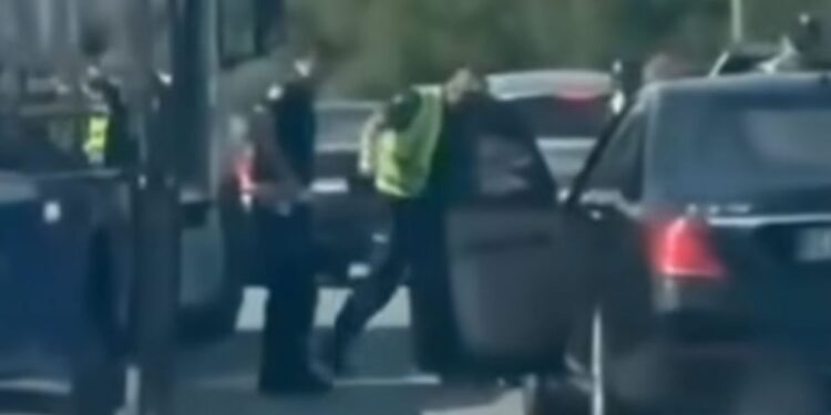 MUP Srbije suspendovao trojicu policajaca: Tukli vozača na auto-putu (VIDEO)
