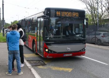 Zašto se Romi ne zapošljavaju, već se uvoze radnici iz inostranstva?
