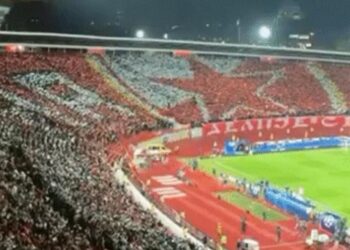 Šta Zvezda u Ligi šampiona donosi Beogradu i Srbiji