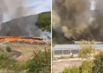 Gori Simpova fabrika na jugu Srbije (VIDEO)