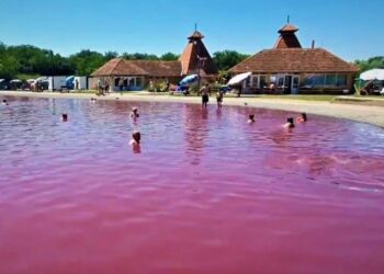 Pačir banja, roze čudo Bačke koje privlači hiljade turista