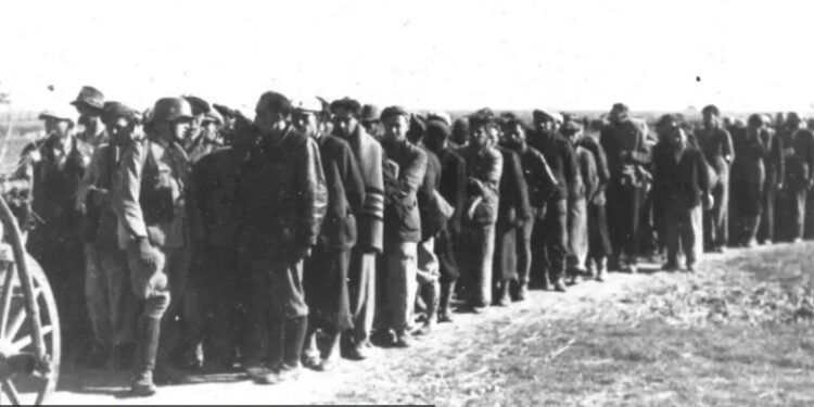 „Čika Švabo, nemoj da ubiješ moju dobru mamu“ – potresno svedočanstvo o stradanju srpskih civila