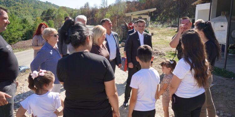 Jedinstvo dijaspore i matice