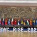 Međunarodna konferencija RISE 2025: Srbija lider u osnaživanju žena