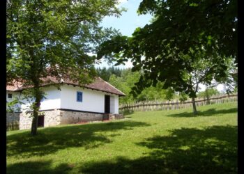 TRŠIĆ: Rodno mesto Vuka Karadžića, živa učionica jezika i tradicije
