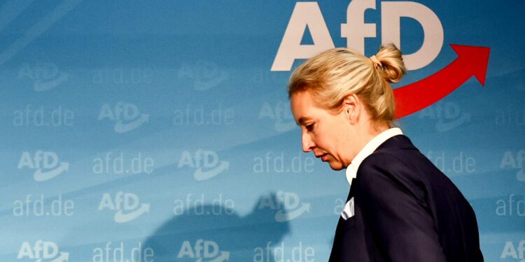 DW: Da li AfD špijunira za Rusiju?