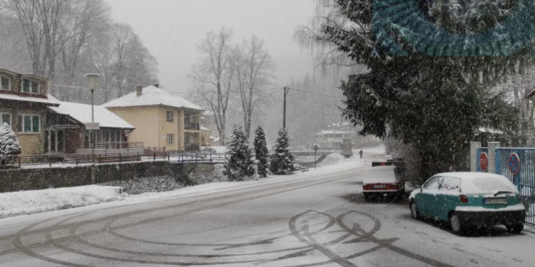 Struja stigla u Crnu Travu