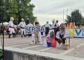 Decenija povezivanja matice i rasejanja