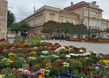 Jesenji sajam cveća, meda i zimnice obojile Smederevo
