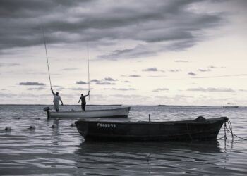Prevrnuo se čamac na Dunavu kod Bačke Palanke