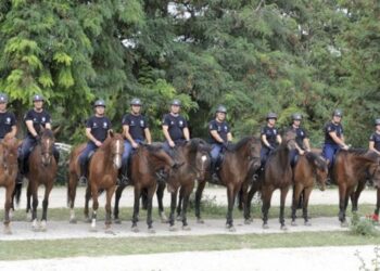 MUP jača Policijsku brigadu: novi konkurs za 40 brigadira u Beogradu