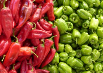Paprika ove godine ne donosi zaradu