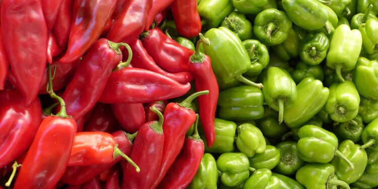 Paprika ove godine ne donosi zaradu