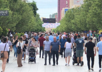 Dijaspora Kosova u prvih osam meseci 2025. uplatila oko 928 miliona evra