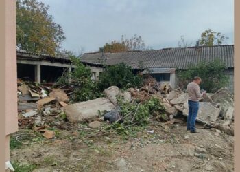 „Gradska Čistoća“ pomogla porodi Mladenović: Očišćeno dvorište, vraćeno dostojanstvo