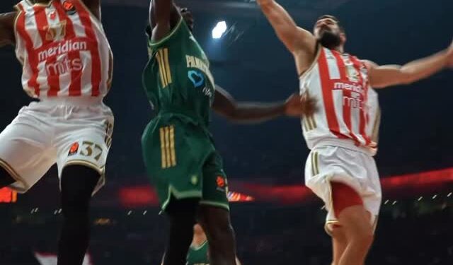 Zvezda pobedila Panatinaikos