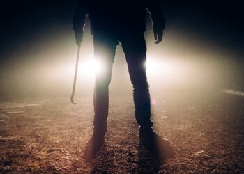 Ubijena žena u Leskovcu: Policija traga za ubicom