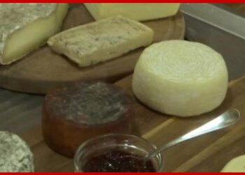 Srpsko mleko i italijanski recept proizveli jedinstveni sir