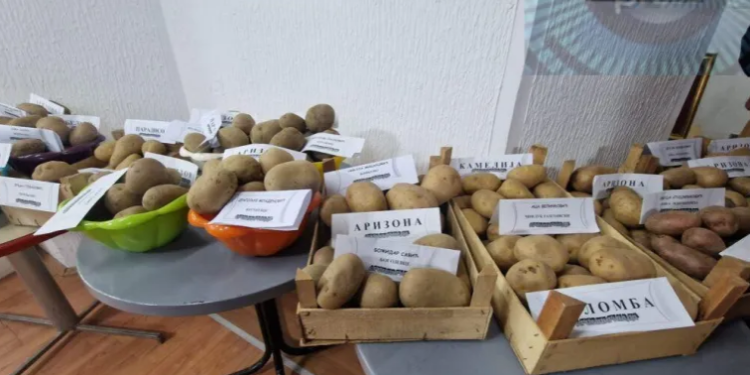 Dani krompira i lokalnih običaja