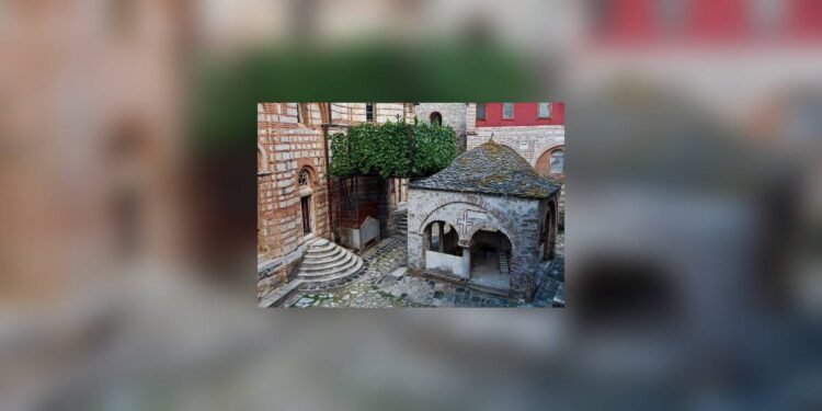 Plodovi vere: Loza koja vekovima daruje potomstvo i blagoslov