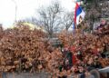 Kako pravilno odložiti badnjak posle Božića