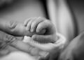 Natalitet u Beču u porastu: Rađaju se bebe bez austrijskog državljanstva