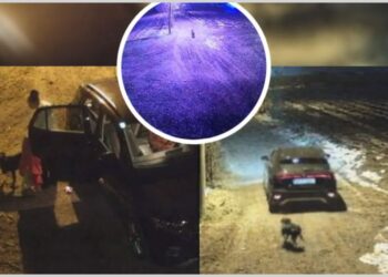 Cinizam Zapada: Psa na hladnoću i adio!