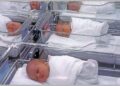 Vredna nagrada za prve bebe rođene na Kosovu i Metohiji