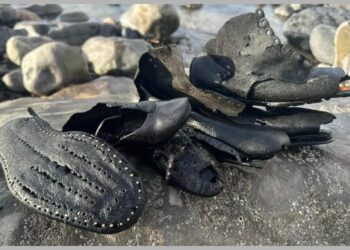 Stotine viktorijanskih cipela osvanulo na obali