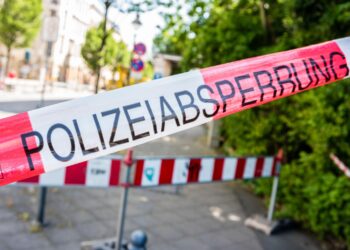 17 – godišnjakinja ubila vršnjaka nožem u vrat: Potera po Nemačkoj