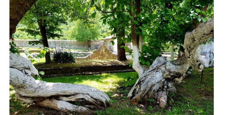 Molitveno se sećamo Svetog Save II arhiepiskopa srpskog: Pastir koji je posadio nadu