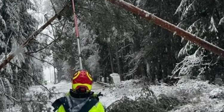 Snežni talas parališe Austriju: Desetine hiljada domaćinstava bez struje