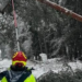 Snežni talas parališe Austriju: Desetine hiljada domaćinstava bez struje