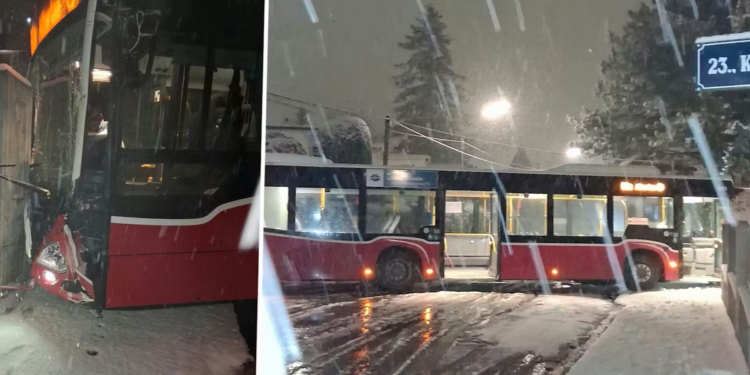 Sneg paralisao Beč: Od aerodroma do autoputa, sve je stalo!