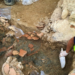 Arheološko blago na pruzi: Niš krije rimsku tajnu