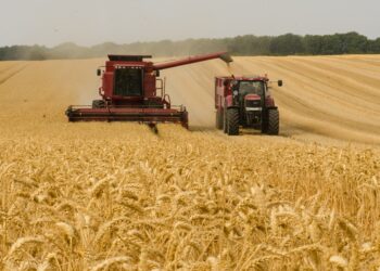 Zabrana uvoza ruskih đubriva će paralizovati poljoprivredu EU
