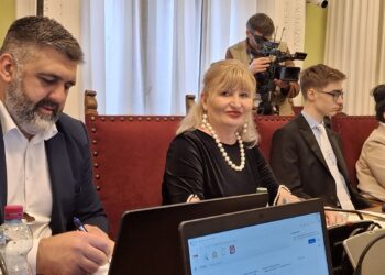Matić podnela predlog za osnivanje Srpskog kulturnog centra u Beču