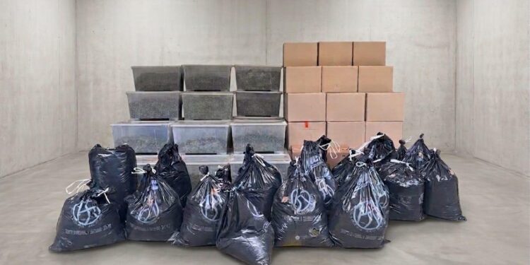 Nemac i Albanski duo pali sa tonom THC – a: Plantaža Kanabisa razbijena