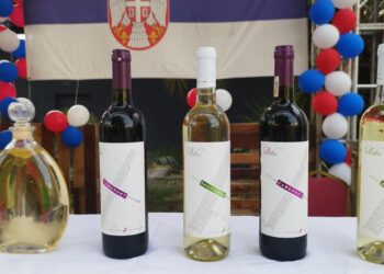 Od tradicije do stipendija: Uspešno predstavljanje Srbije u Angoli